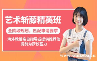 艺术斩藤精英课程