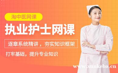 执业护士班