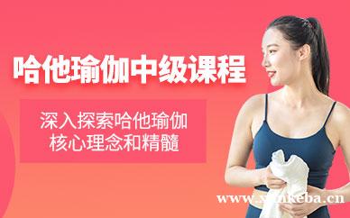 哈他瑜伽中级课程