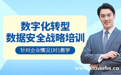数字化转型数据安全战略培训