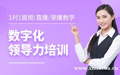 数字化领导力培训