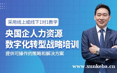 央国企人力资源数字化转型战
