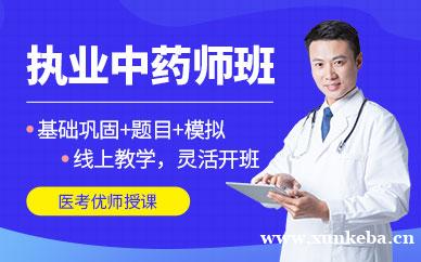 执业中药师寻梦精品班
