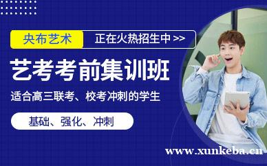 艺考考前集训班