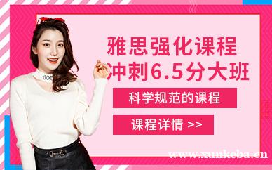 雅思强化冲6.5分大班