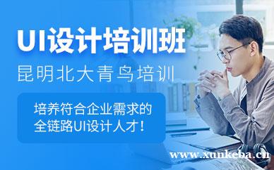 UI设计培训课程