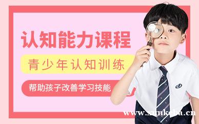 儿童认知能力培训