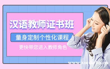 国际汉语教师证书课程