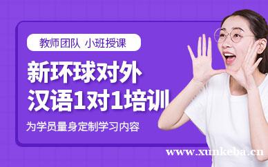 对外汉语一对一培训