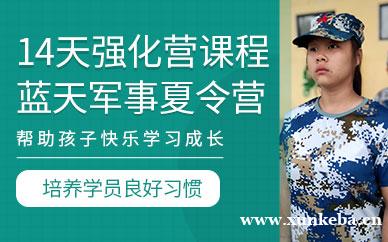 14天强化营课程