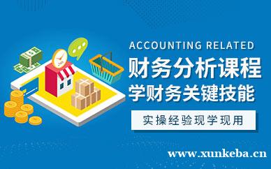 财务分析课程