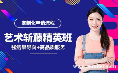 艺术斩藤精英课程