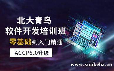 ACCP软件开发工程师