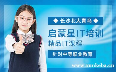 启蒙星IT培训