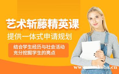 艺术斩藤精英课程