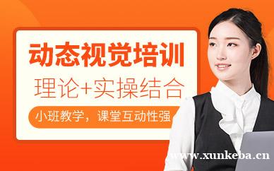 动态视觉培训