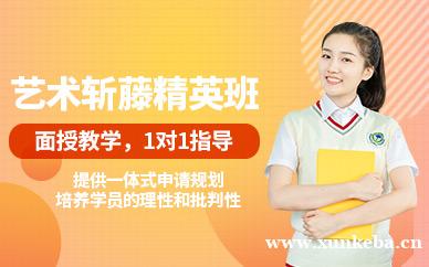 艺术斩藤精英课程