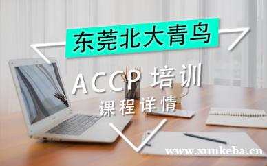 accp培训
