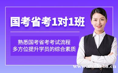 国考省考1对1培训