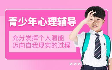 青少年心理辅导
