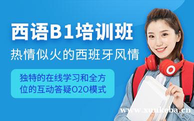 西语B1直达班