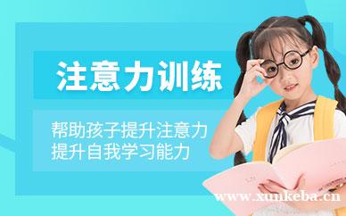 专注注意力培训