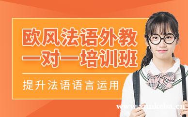 法语一对一培训