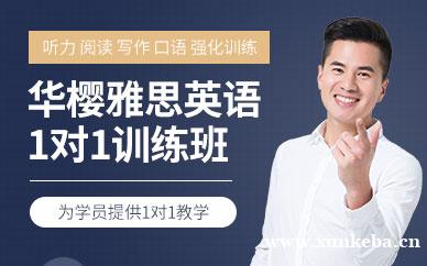 雅思一对一课程