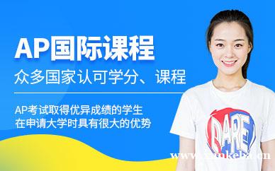AP课程培训