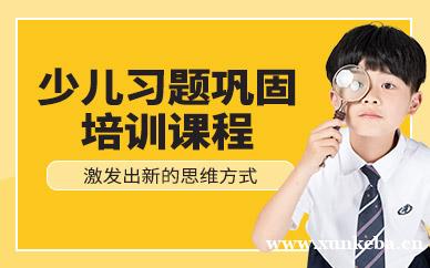 少儿习题巩固班