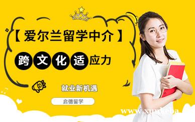 爱尔兰留学服务