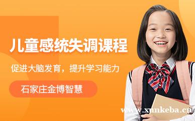 儿童感统失调课程