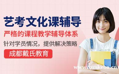 艺考培训