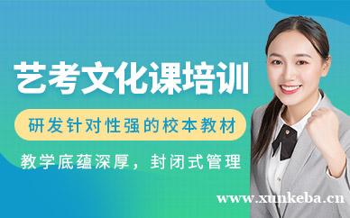 艺考文化课培训