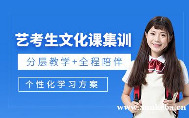 艺考生文化课集训