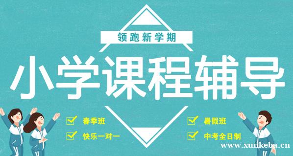 南宁小学课程辅导