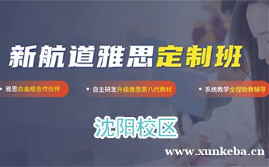 沈阳新航道雅思定制班培训