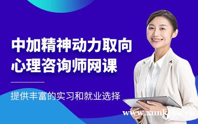 中加精神动力取向心理咨询师