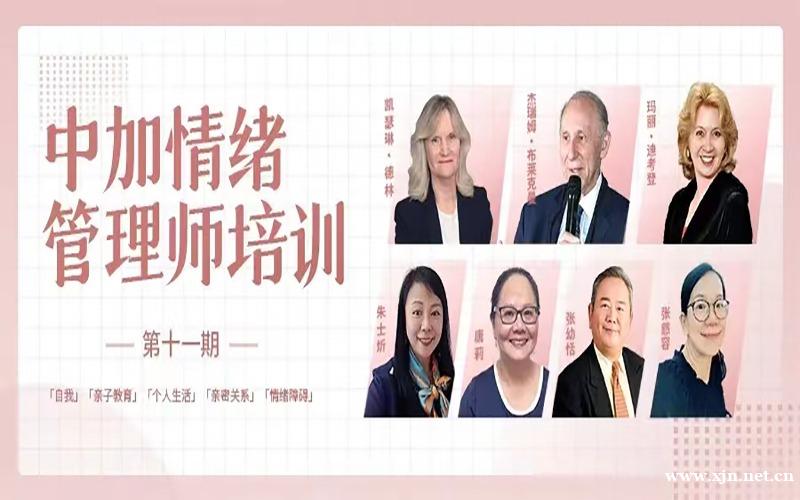 中加情绪管理师培训班