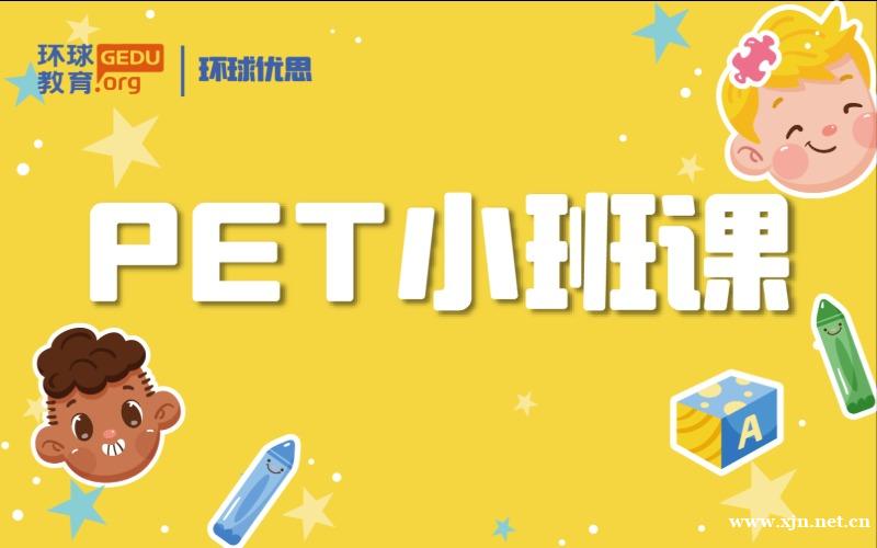 天津少儿英语PET初级小班定制培训