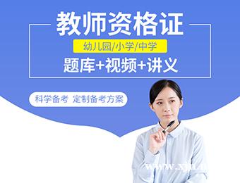 中学教师笔试直播全程班