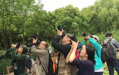 上海淘宝网店（广告）摄影培训班课程