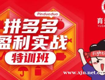 杭州拼多多运营培训班