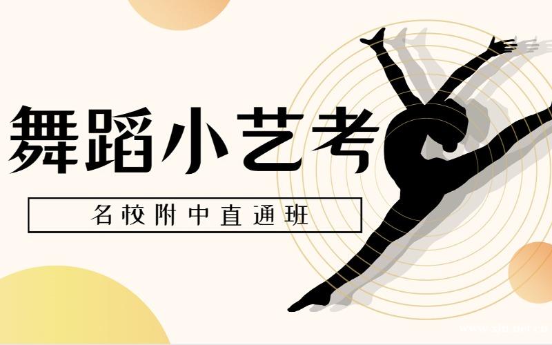 南京舞蹈小艺考名校附中国标舞中国舞周末艺考班