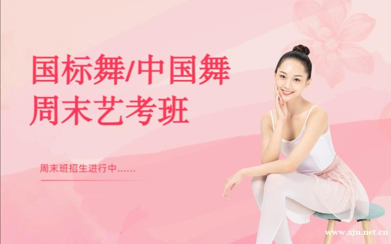 南京国标舞中国舞周末艺考班