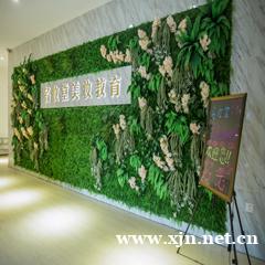 嘉兴零基础时尚彩妆培训班