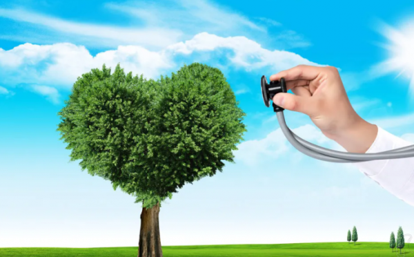 艾德心理咨询师基础培训班