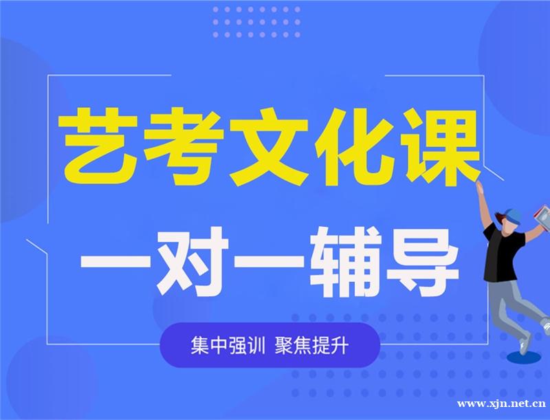 北京艺考生文化课一对一辅导课程