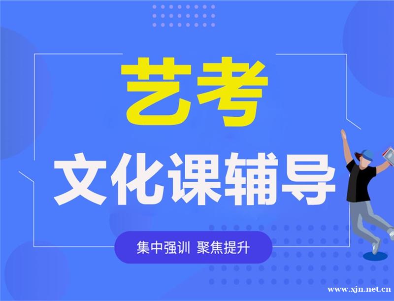 北京高考艺考生文化课辅导