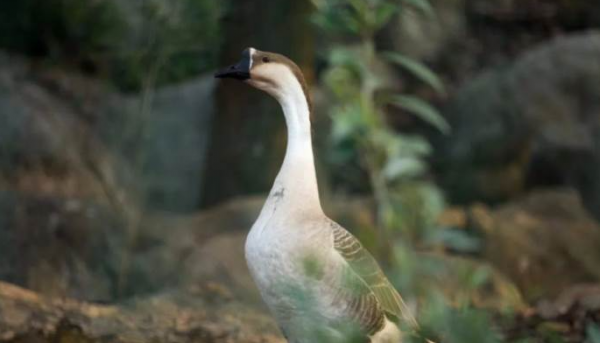 南通短视频拍摄剪辑培训班